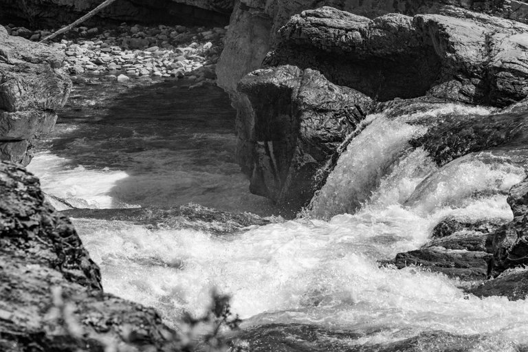 DSC08175.jpeg