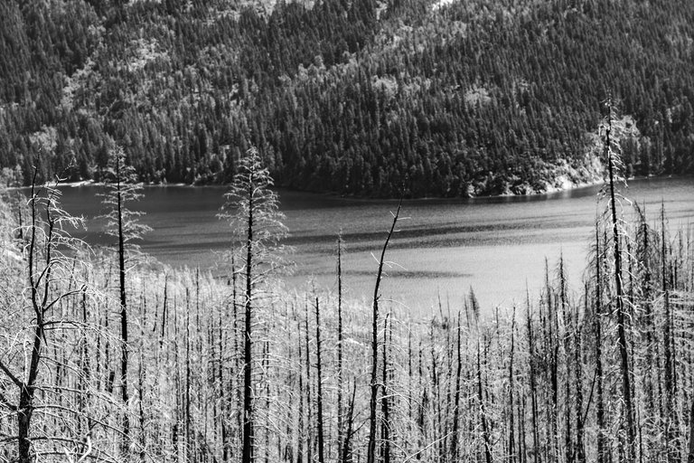 DSC08049.jpeg