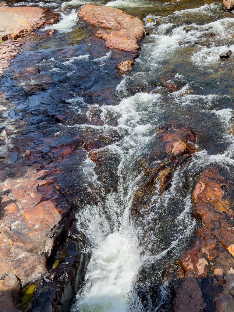 IMG_0478.jpeg