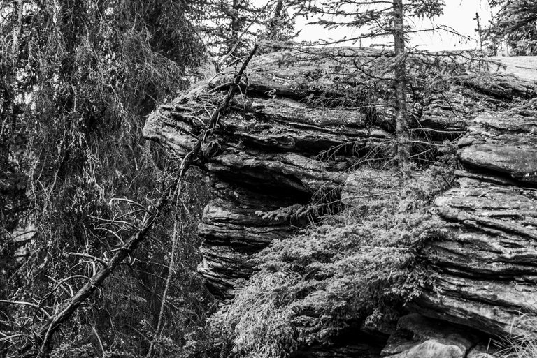 CEC57801-F633-4055-93E2-B444F104BD50.jpeg