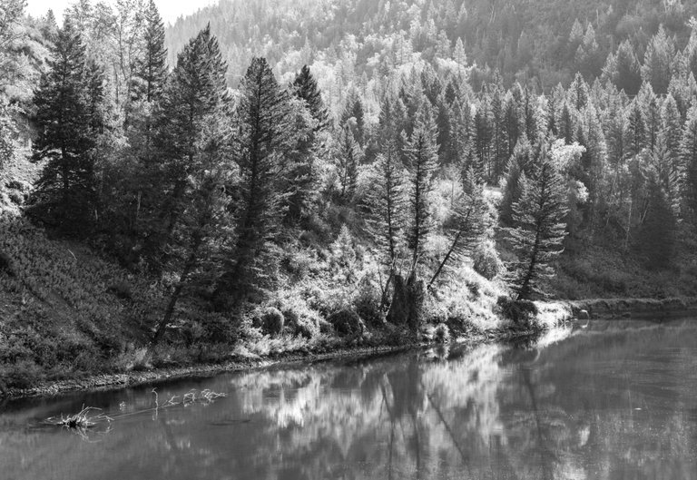 DSC08279.jpeg