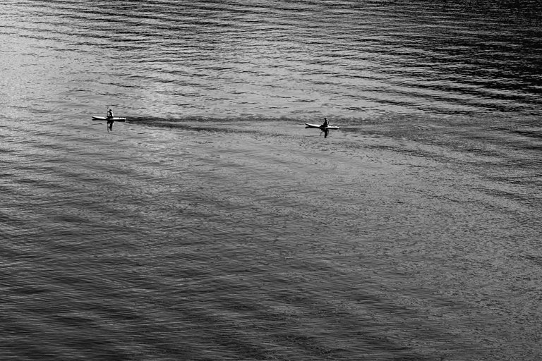 DSC08012.jpeg