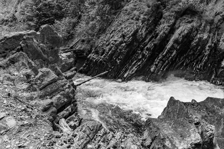 DSC09051.jpeg