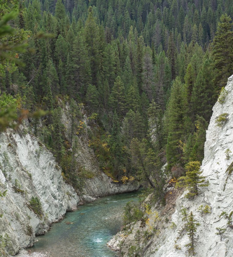 DSC08540.jpeg
