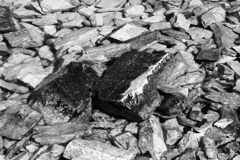 DSC08301.jpeg