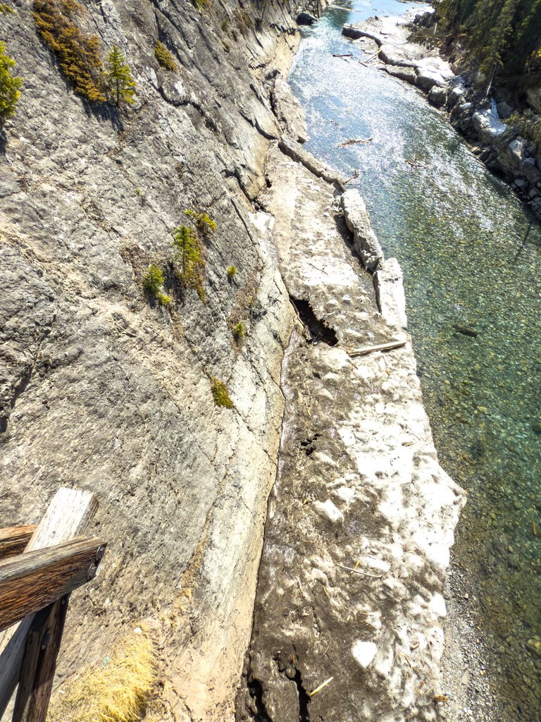 IMG_0276.jpeg