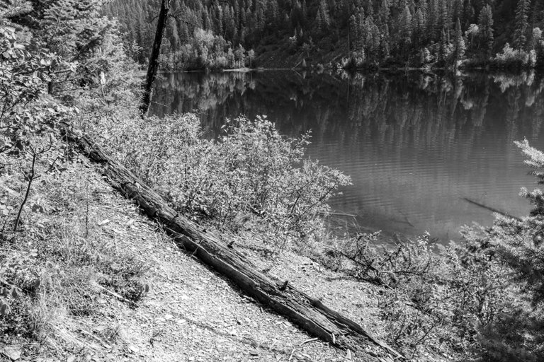 DSC08347.jpeg