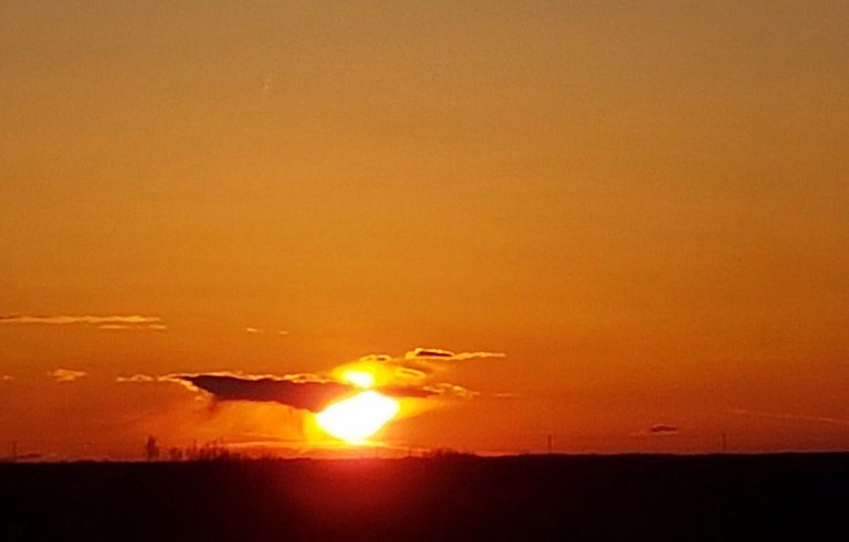 20180418_200242.jpeg