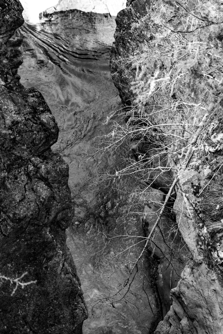 DSC08519.jpeg
