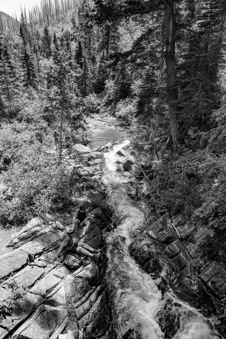 DSC08035.jpeg