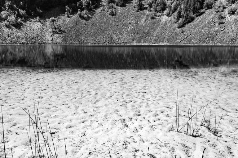 DSC08318.jpeg
