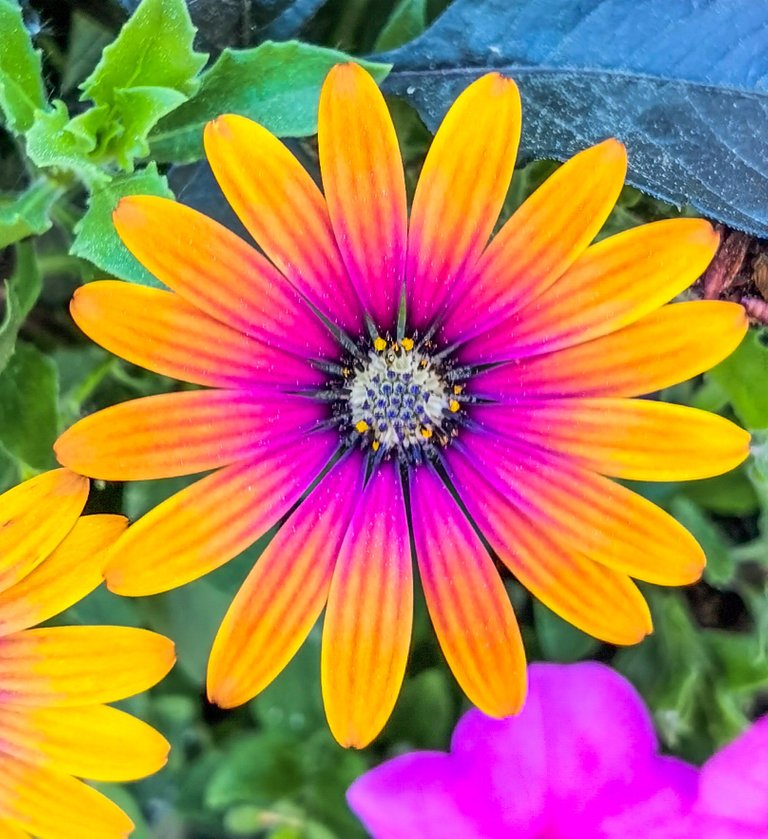 E10A365D-4D91-4172-A1C5-684AB9596CC5.jpeg