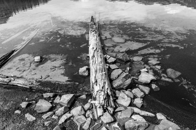 DSC08259.jpeg