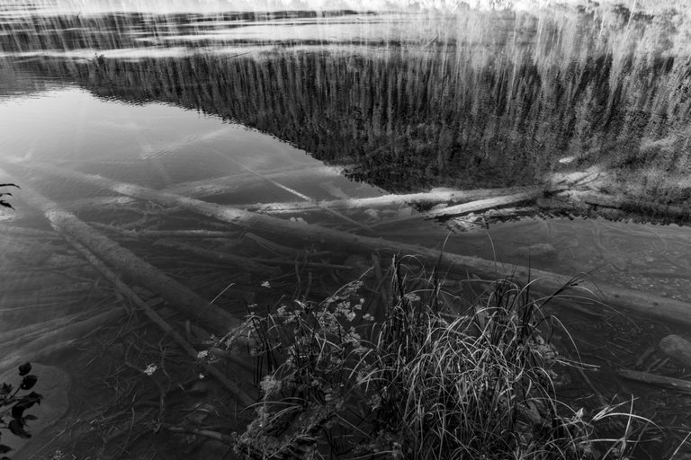 DSC08402.jpeg
