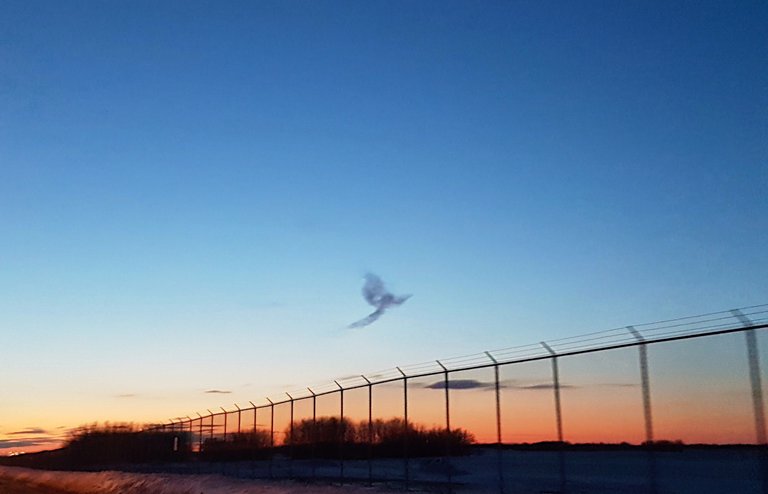 20180220_190127.jpeg