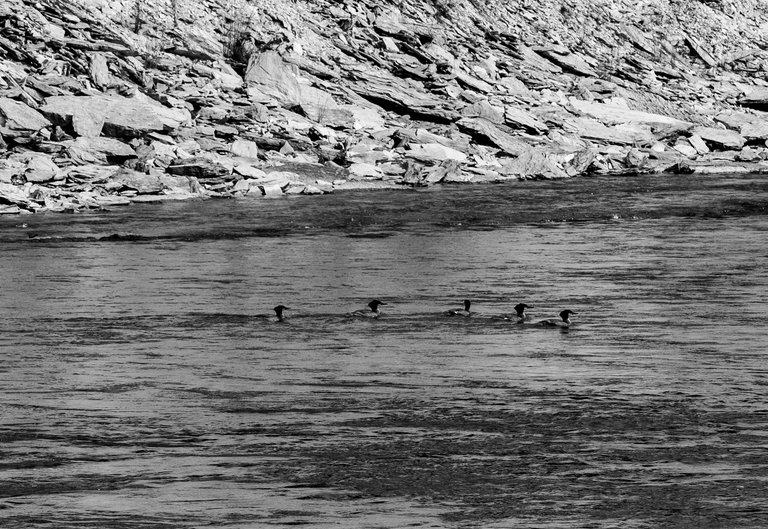 DSC08574.jpeg