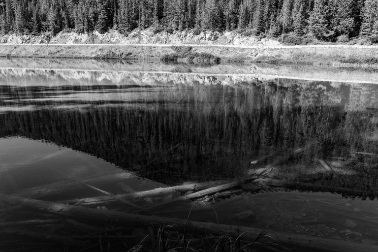 DSC08403.jpeg