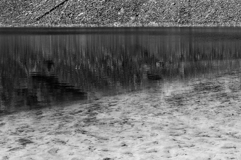 DSC08325.jpeg