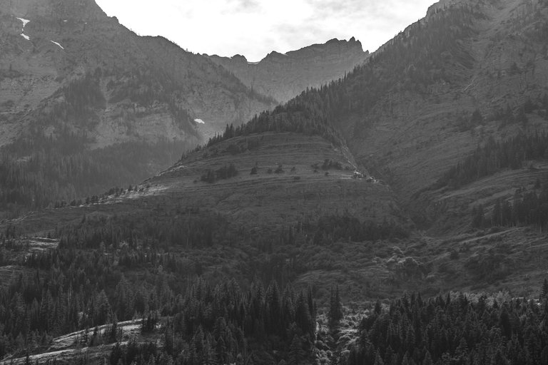 DSC08144.jpeg