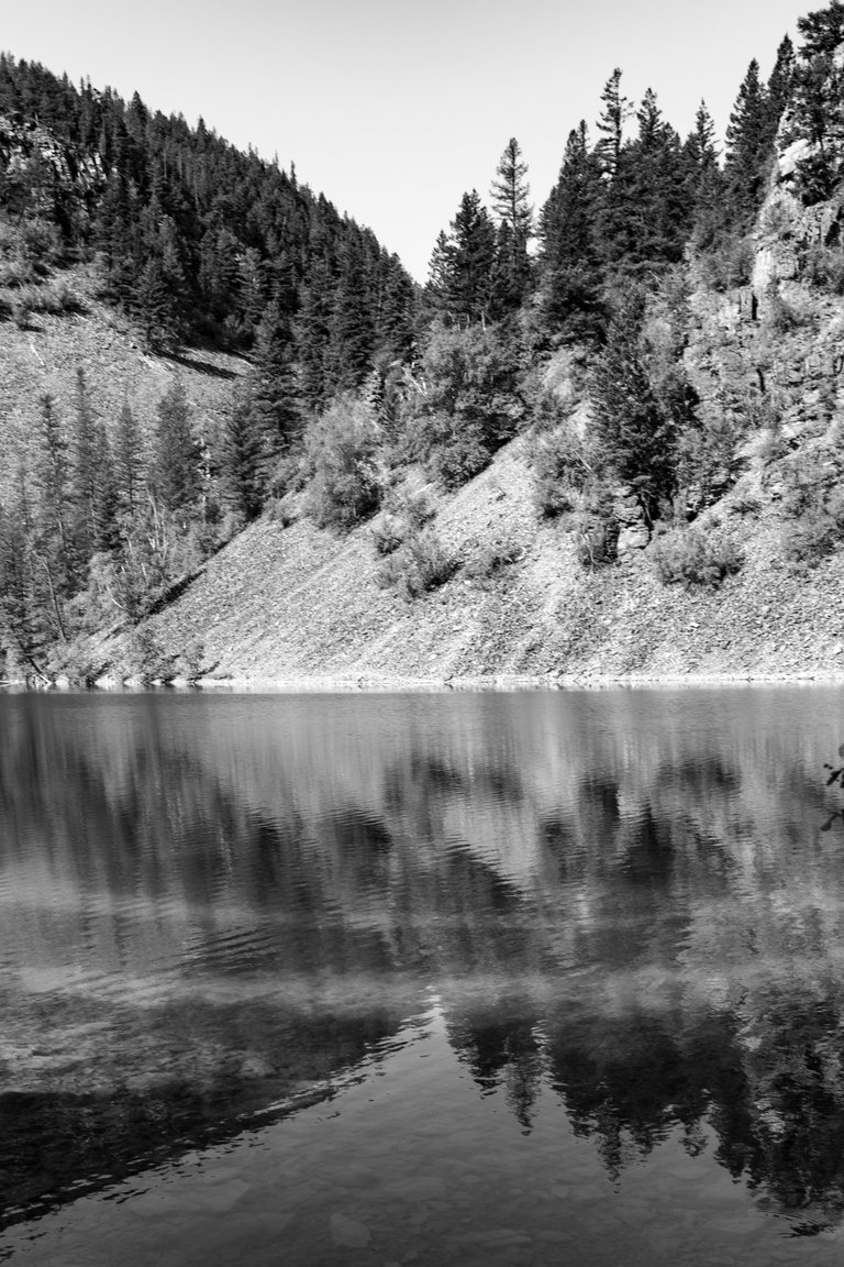 DSC08297.jpeg
