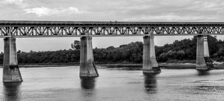 09A13861-53A6-409C-B587-711148E127C6.jpeg