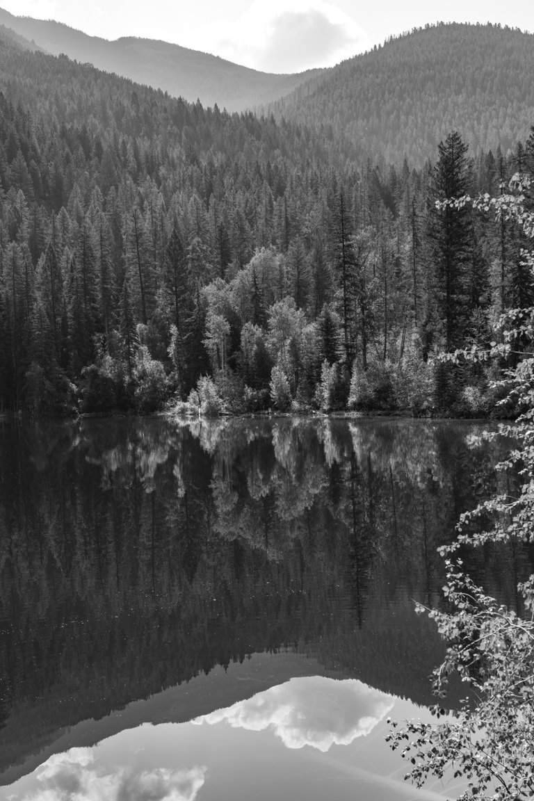 DSC08350.jpeg