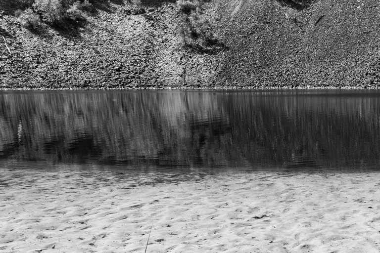 DSC08318.jpeg