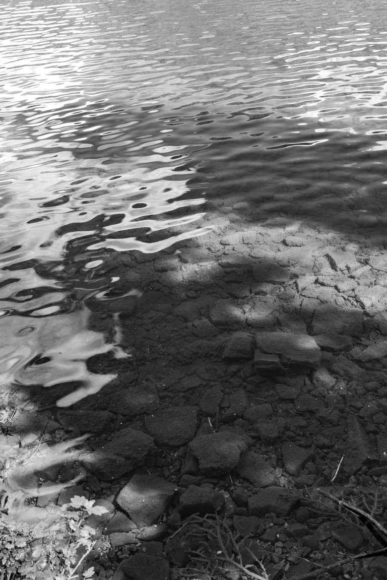 DSC07999.jpeg