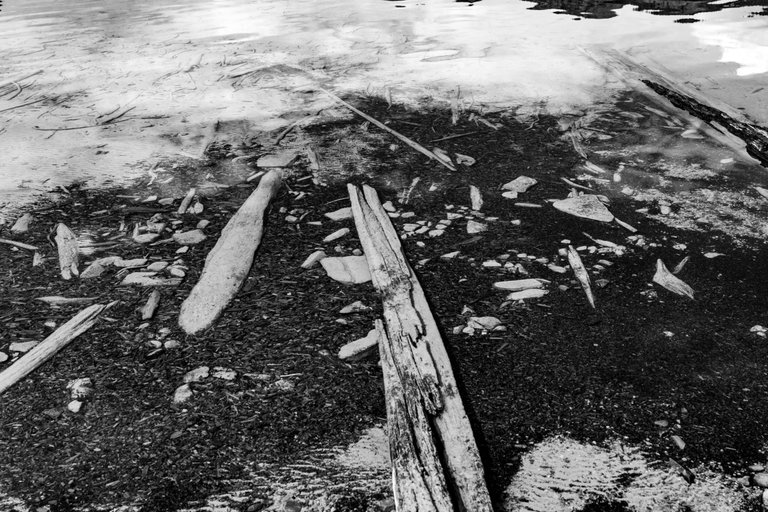 DSC08264.jpeg