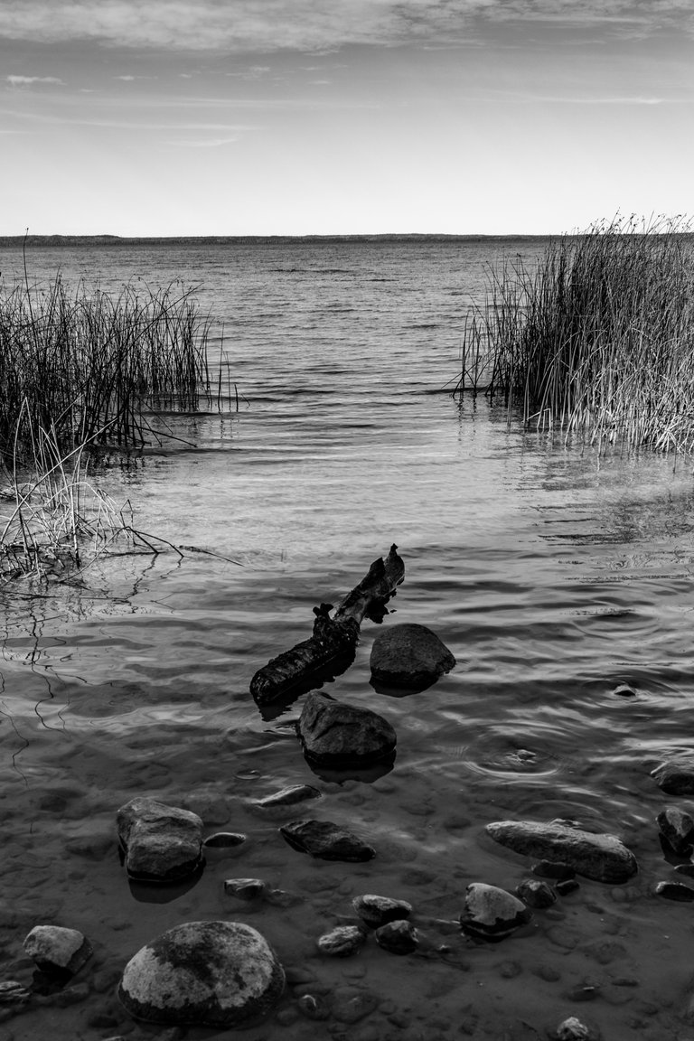 DSC08690.jpeg