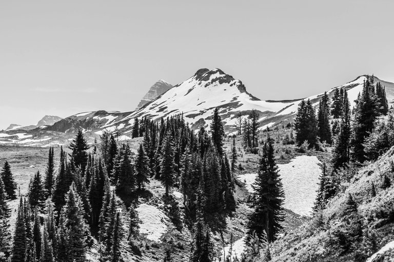 239275BD-43D9-4B48-855B-015715B602C1.jpeg