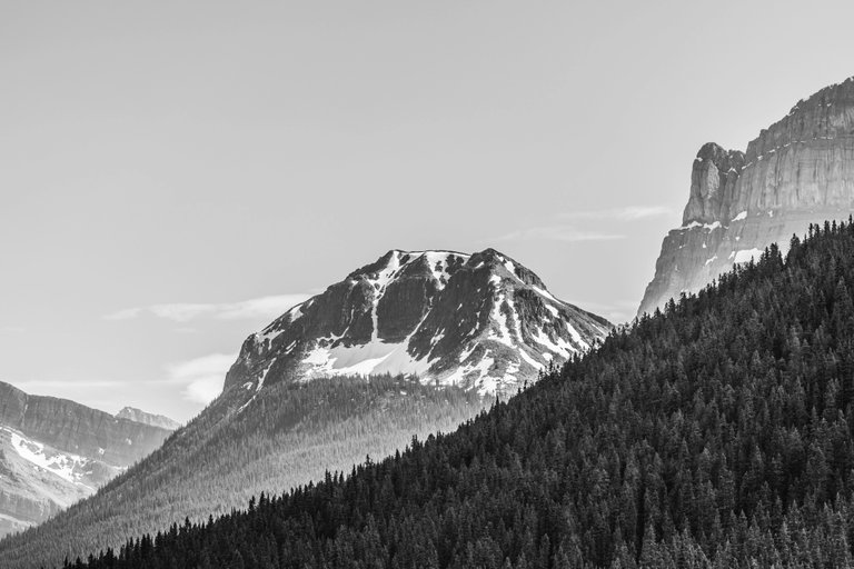 DF9FA7F1-8EDA-4769-BC3B-26DCB730F7A4.jpeg