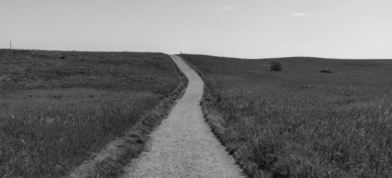 AC8988B4-B351-43D0-A379-14F06C5DF569.jpeg