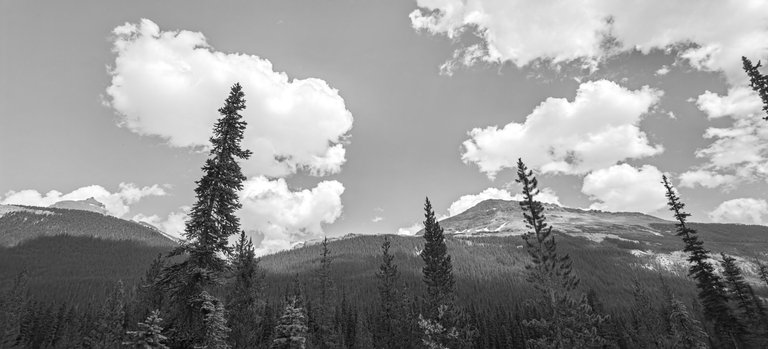 947FB867-E986-4F5A-A1EA-6559FE292FF2.jpeg