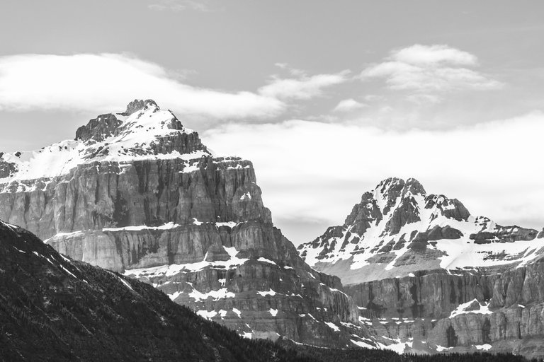 AA438101-6018-4286-A4AE-7E9DD865958B.jpeg