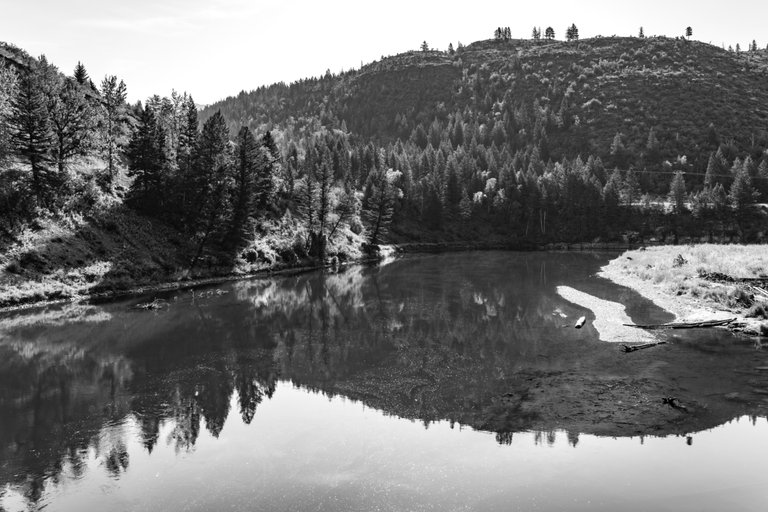 DSC08278.jpeg