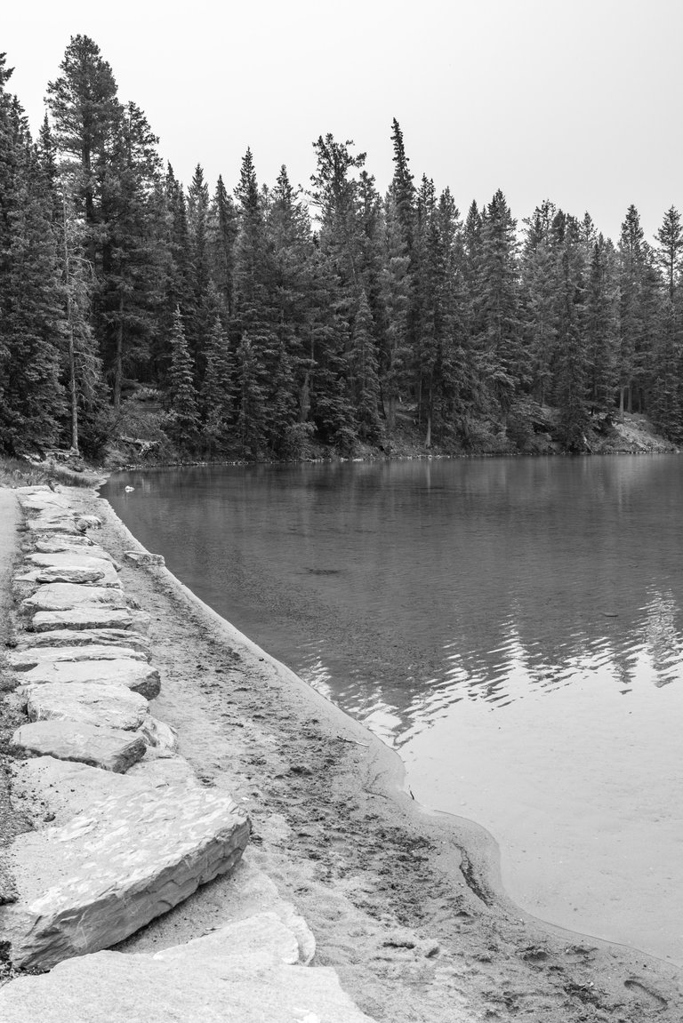 DSC06526.jpeg