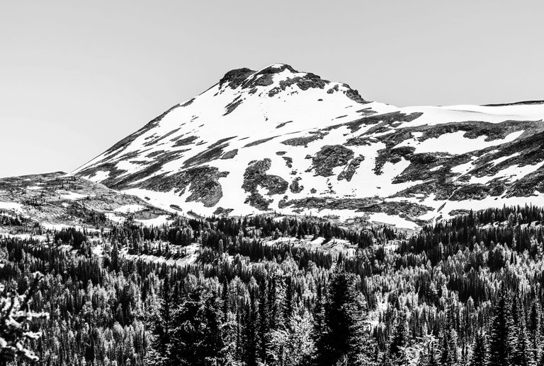 91777C1F-461E-4842-B651-719D134483D0.jpeg