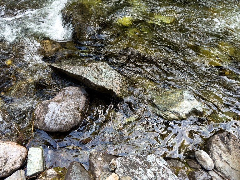 IMG_0523.jpeg