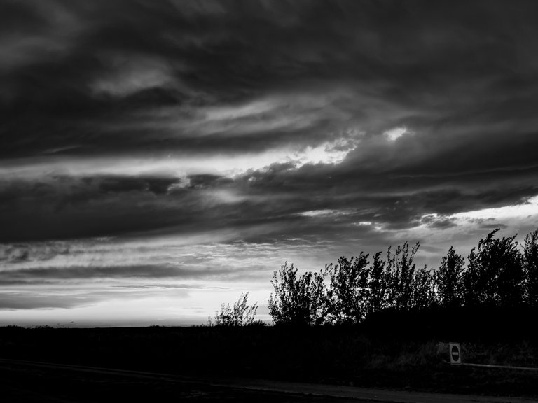 IMG_0376.jpeg