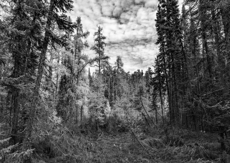 DSC08776.jpeg
