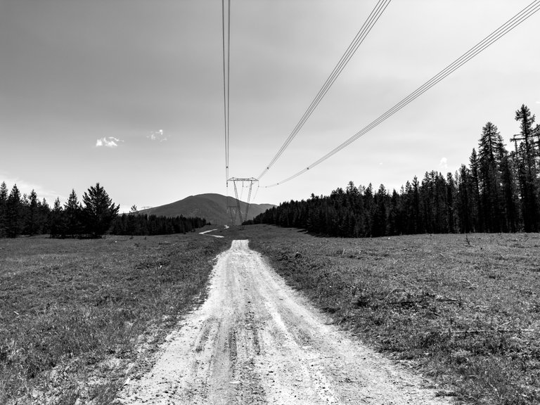 IMG_0419.jpeg