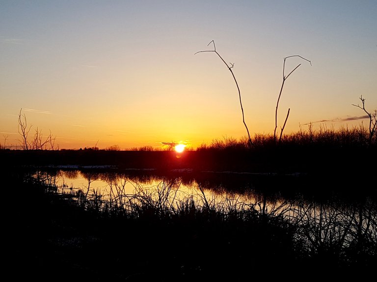 20180418_200458.jpeg