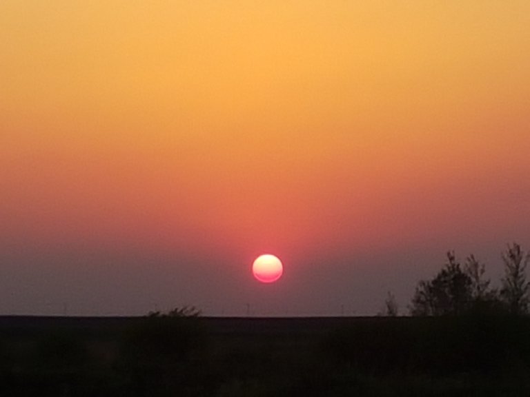 20180515_204348.jpeg