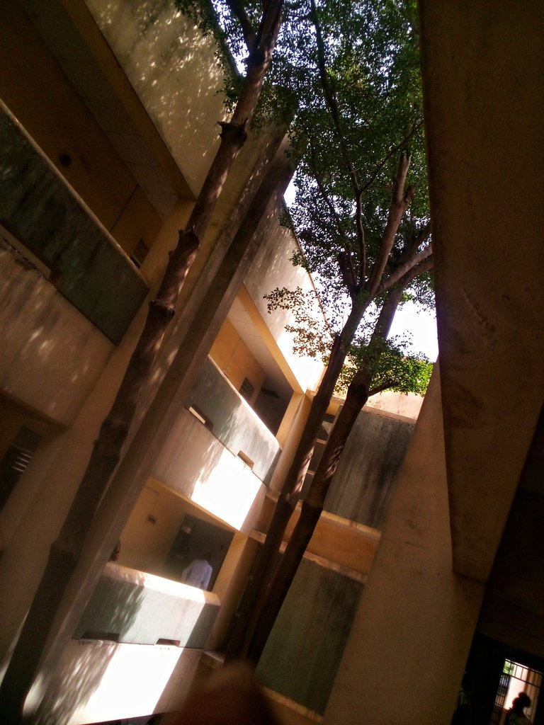 IMG_20250506_103814_216-01.jpeg