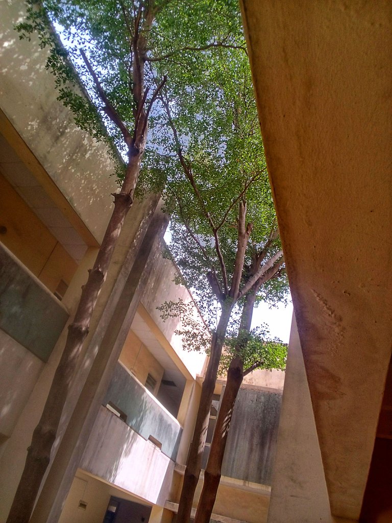 IMG_20250506_103346_719-01.jpeg