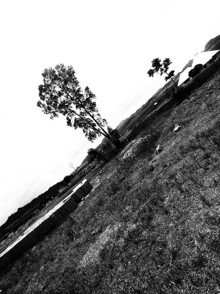 20250724_132734-01.jpeg
