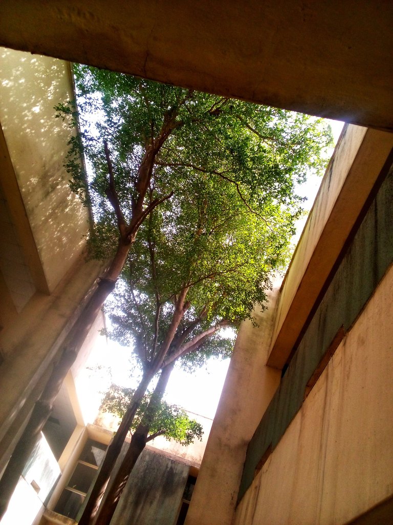 IMG_20250506_103420_826-01.jpeg
