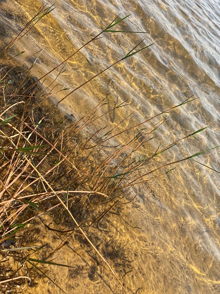 IMG_2038-01.jpeg