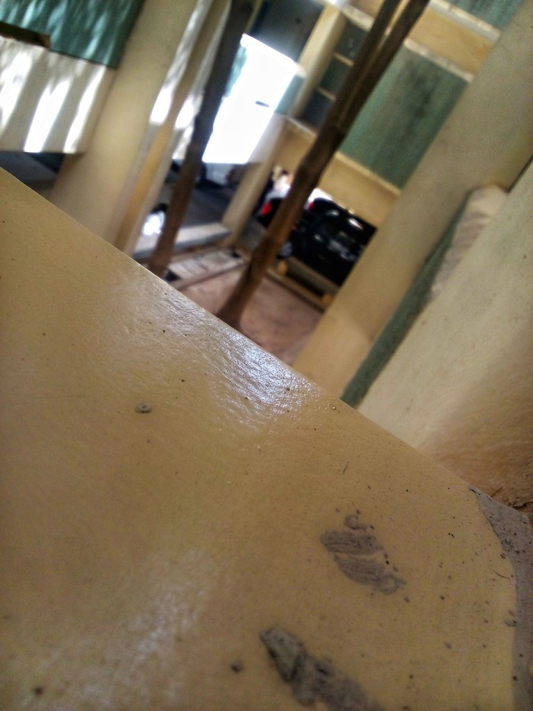 IMG_20250506_103558_344-01.jpeg